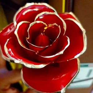 Gold Plated Rose